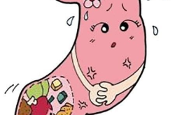 脾胃不和的症状,症状解析与调养之道